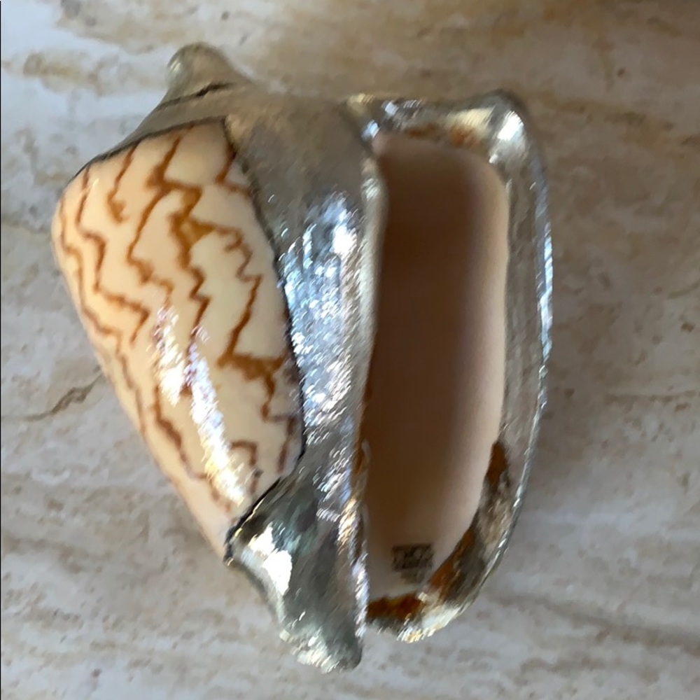 Silver deco shells - Picture 4 of 8